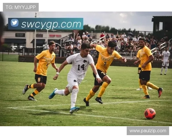 开云体育官方平台提供最全面的体育赛事直播与最新赛事资讯